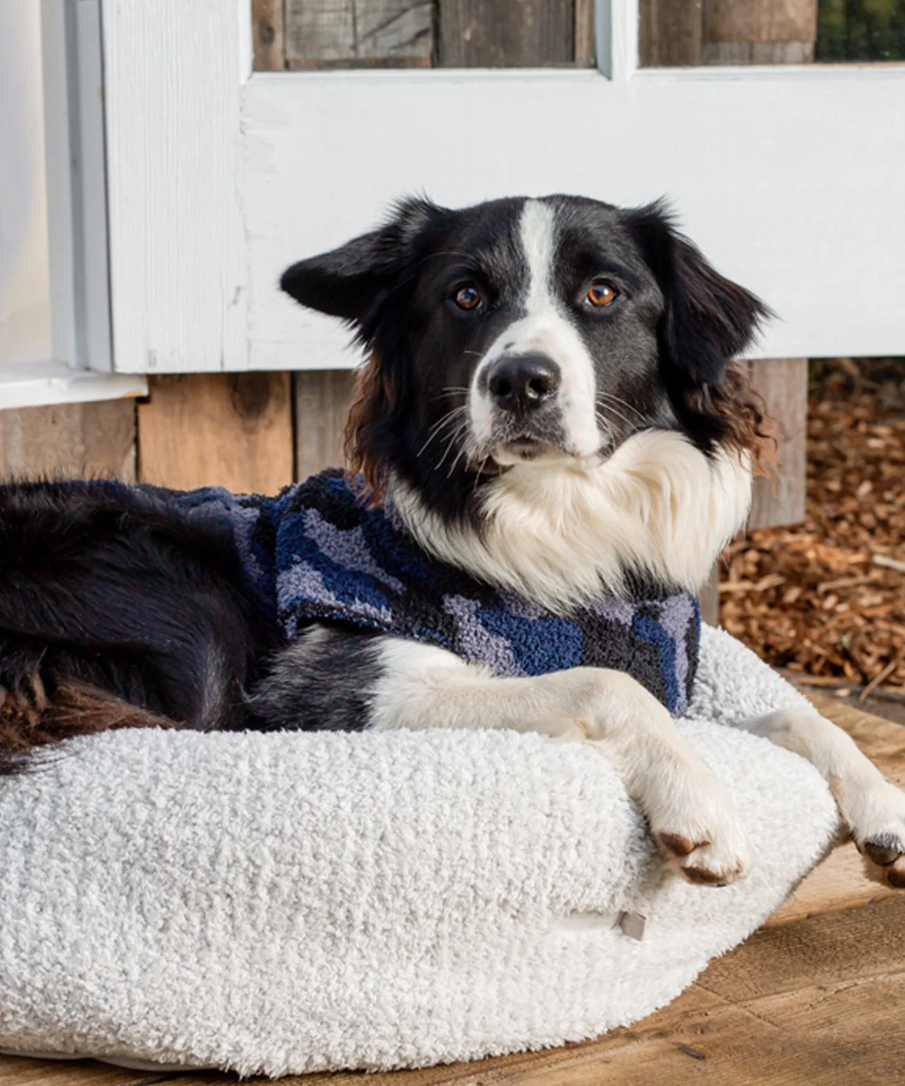 CozyChic Round Pet Bed - Image 3