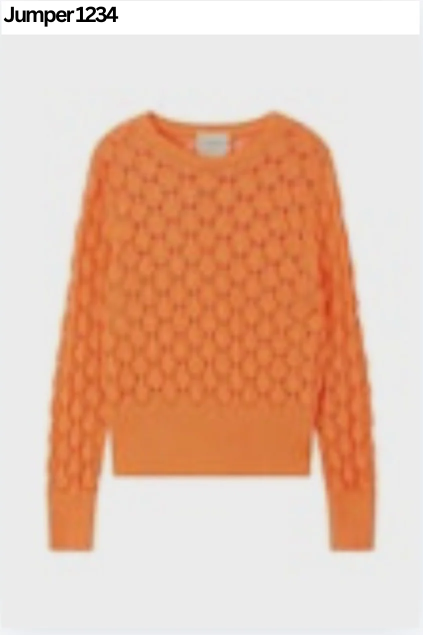 Women's Open Lace Crew Sweater